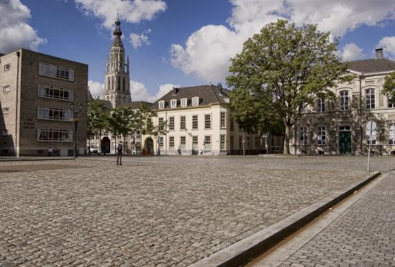 muizenbestrijding-breda
