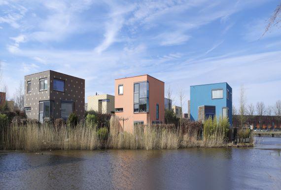 muizenbestrijding-enschede
