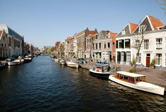 muizenbestrijding-leiden