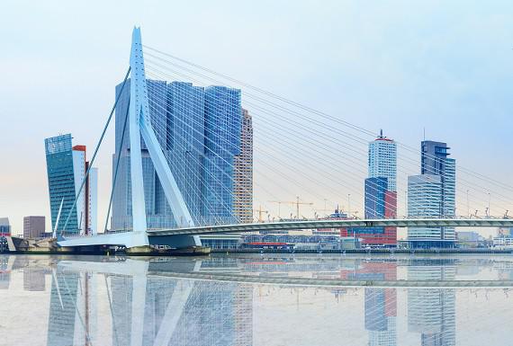 muizenbestrijding-rotterdam