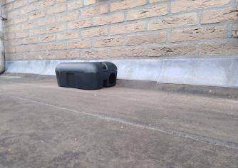 Muizenplaag rondom het huis